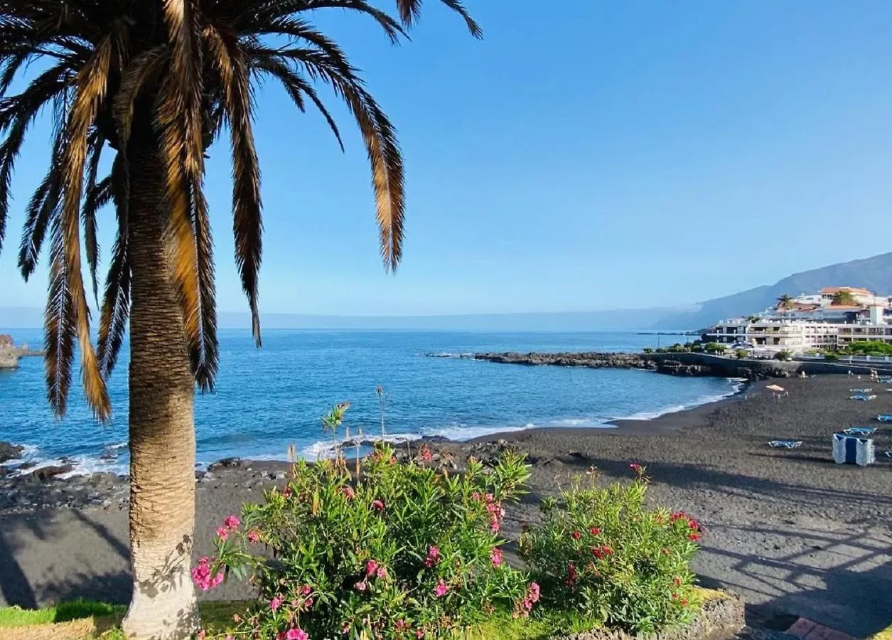 Buenavista Sunflower Apartment In Playa La Arena Puerto de Santiago  Puerto de Santiago (Tenerife)