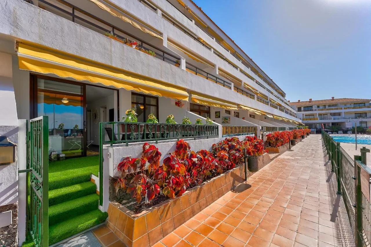 Buenavista Sunflower Apartment In Playa La Arena Puerto de Santiago   Puerto de Santiago (Tenerife)